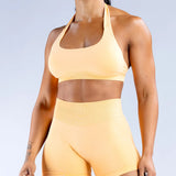 High Elastic Ultra-fine Matte Nylon Halter Beauty Back Seamless Sports Bra  With Logo Bra