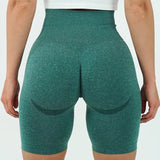 jog pant High Waist Tummy Control Booty Contour Butt Lift Short Fitness Sports