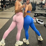 Women Seamless Yoga Set